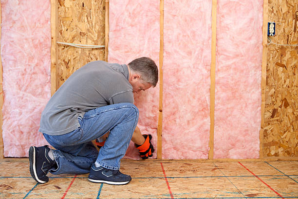 Best Insulation Repair Services  in Underwood Petersville, AL