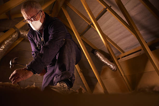 Best Cellulose Insulation  in Underwood Petersville, AL
